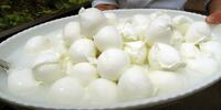 Syr-1-Mozzarella-di-Bufala-12.jpg