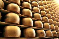 foto-10200004-Syr-Parmigiano-Reggiano-DOP-24-mes-z-01.jpg