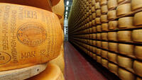 foto-10200004-Syr-Parmigiano-Reggiano-DOP-24-mes-z-02.jpg