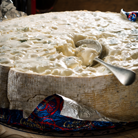 Syr-Gorgonzola-dolce-3.png