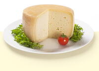 Pecorino-BRIGANTE-forma_di_formaggio-2.jpg