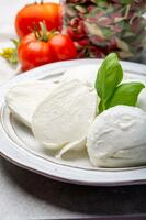 Syr-1-Mozzarella-di-Bufala-04.jpg