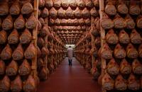 2020-DOBRO-LEVONI-PROSCIUTTO-PARMA-24.jpg