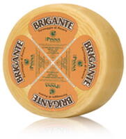 Pecorino-BRIGANTE-forma_di_formaggio.jpg