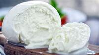 Syr-1-Mozzarella-di-Bufala-01.jpg