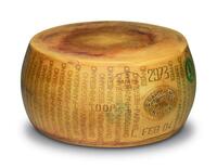 foto-10200004-Syr-Parmigiano-Reggiano-DOP-24-mes-z-03.jpg