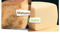 syr-pecorino-sardo-maturo-dolce.jpg