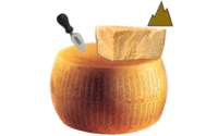 foto-10200004-Syr-Parmigiano-Reggiano-DOP-24-mes-z-07.jpg