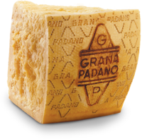 foto-10200008-Syr-Grana-Padano-DOP-16-mes-ZANETTI-IMCO-09.png