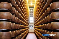 foto-10200004-Syr-Parmigiano-Reggiano-DOP-24-mes-z-10.jpg