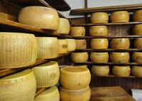 foto-10200004-Syr-Parmigiano-Reggiano-DOP-24-mes-z-09.jpg